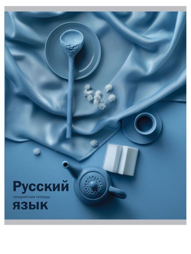 Тетрадь предметная Prof-Press На уроке Русский язык в линейку А5, 48 л