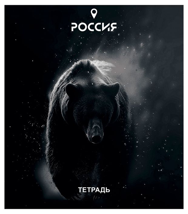 Тетрадь ПЗБМ Место силы в клетку А5 48 л в ассортименте 110₽