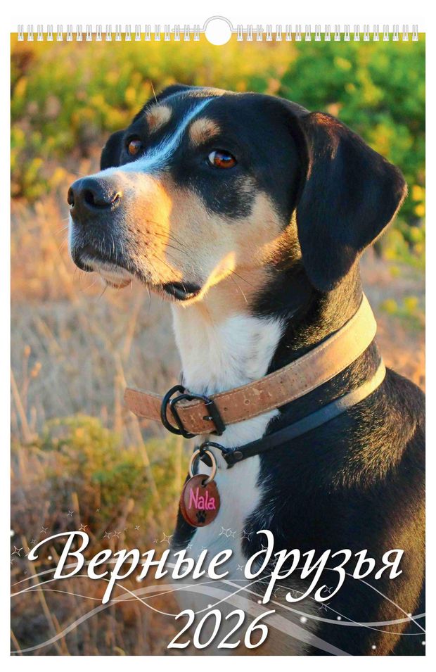 Календарь настенный перекидной Дитон Верные друзья А3 2026 г с ригелем, 320х480 мм
