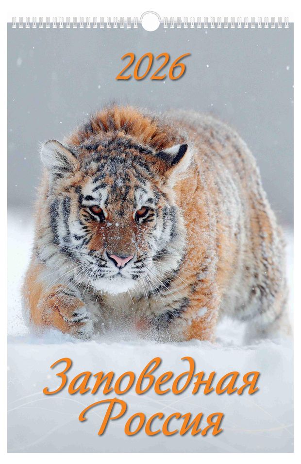 Календарь настенный перекидной Дитон Заповедная Россия А3 2026 г с ригелем, 320х480 мм