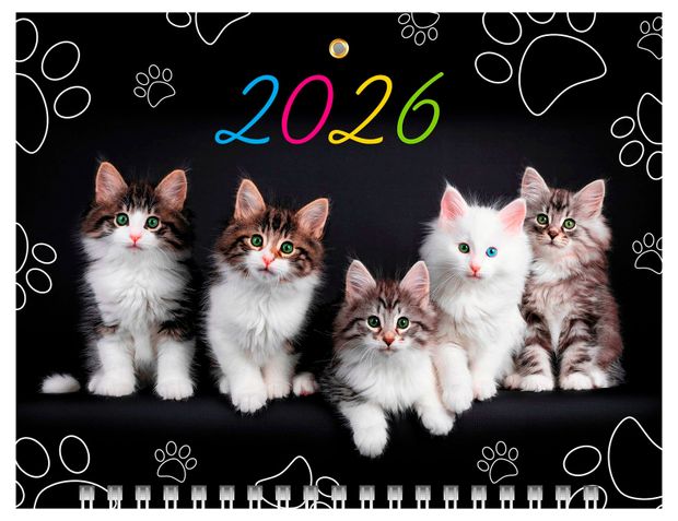 Календарь настенный Хатбер-М Котосессия квартальный 3-х блочный на 2026 год, 19,5х44 см