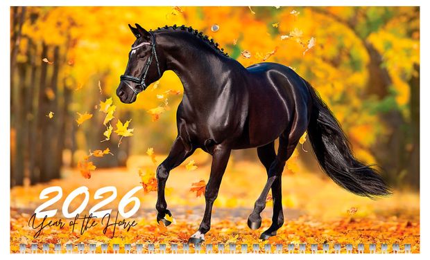 Календарь настенный Хатбер-М Год Лошади квартальный 3-х блочный на 2026 год, 29,7х75 см