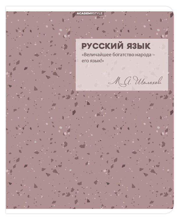 Тетрадь предметная Academy Style Русский язык в линейку А5, 48 л