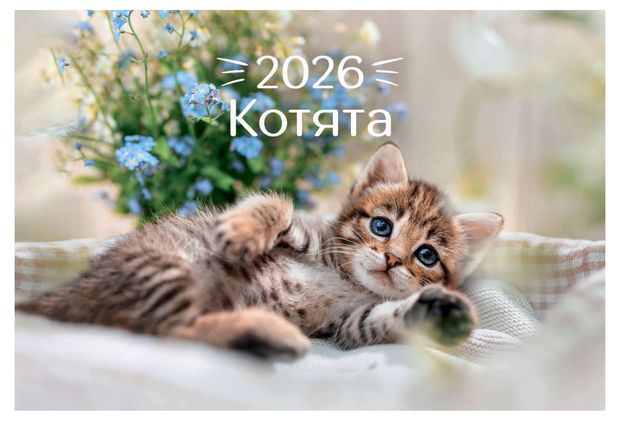 Календарь настольный Great Print на 2026 год Домик Котята