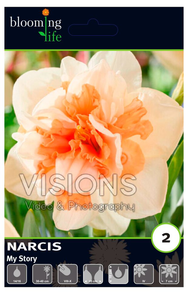 Луковицы Флора групп Нарцисс махровый Май Стори, 2 шт