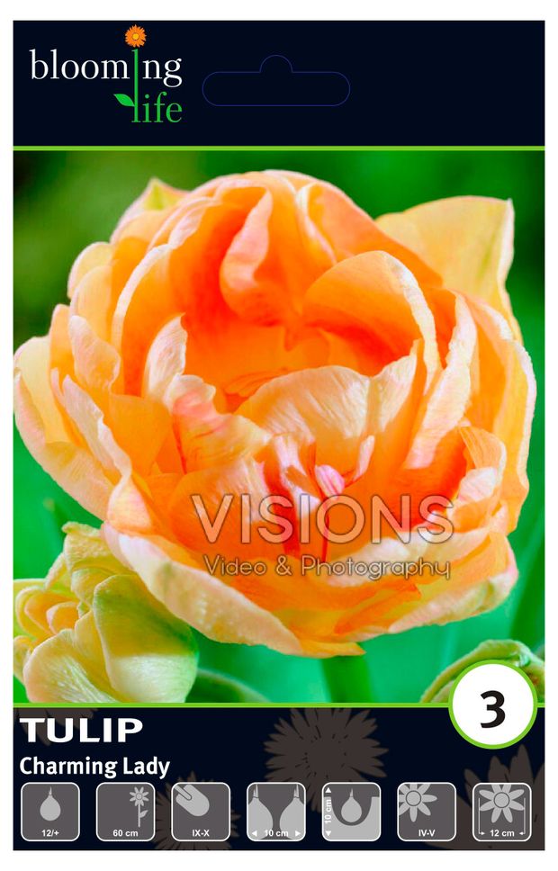 Луковицы Флора групп Тюльпан махровый поздний Чаминг Леди, 3 шт