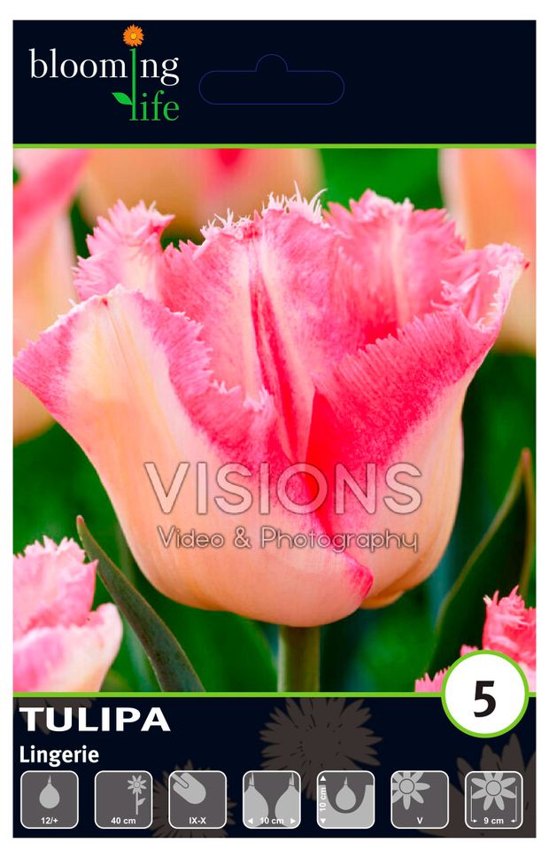 Луковицы Флора групп Тюльпан Люкс микс, 4 шт