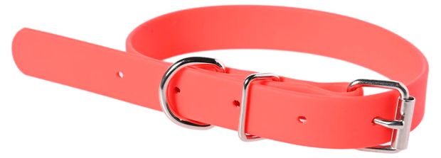 Ошейник для собак АШАН Красная птица красный, 40x2x0,25 см