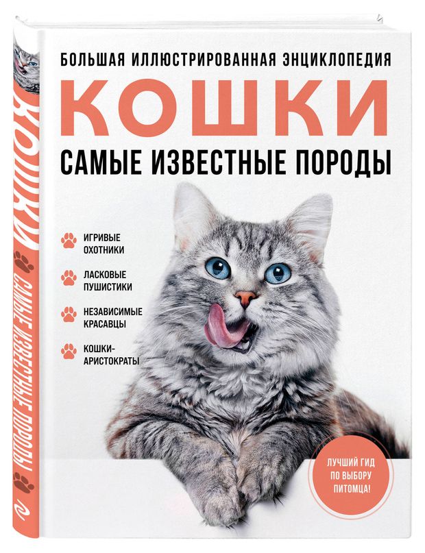 Кошки. Самые известные породы