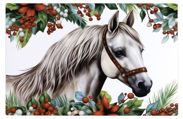 Салфетка сервировочная Remiling Household 43х28 см, 1 шт в ассортименте