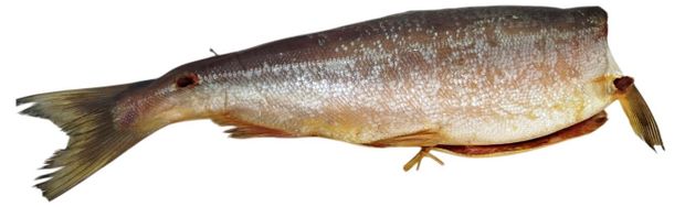 Нерка холодного копчения Рыбный цех потрошеная без головы, ~ 1,4 кг