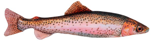 Игрушка-антистресс ONE TWO FUN Форель, 60 см