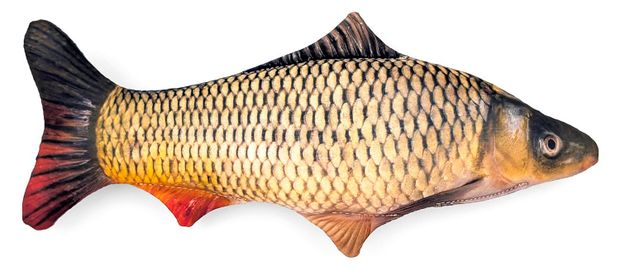 Игрушка-антистресс ONE TWO FUN Карп, 60 см