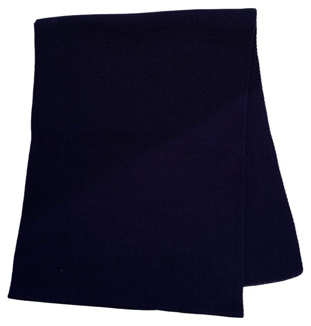 Шарф мужской Fishka синий, 30х160 см