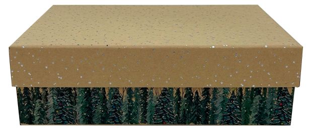 Коробка подарочная 22х16х65 см 160₽