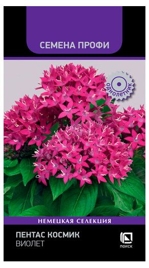 Семена Поиск Пентас Космик Виолет, 7 шт