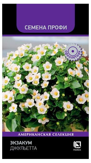 Семена Поиск Экзакум Джульетта 5 шт 160₽