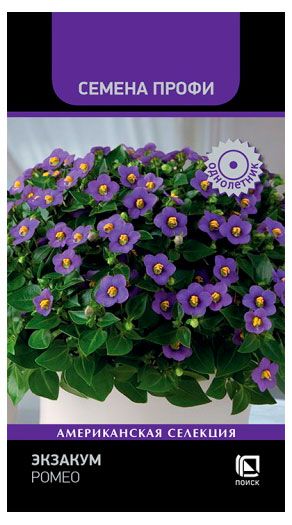 Семена Поиск Экзакум Ромео 5 шт 160₽