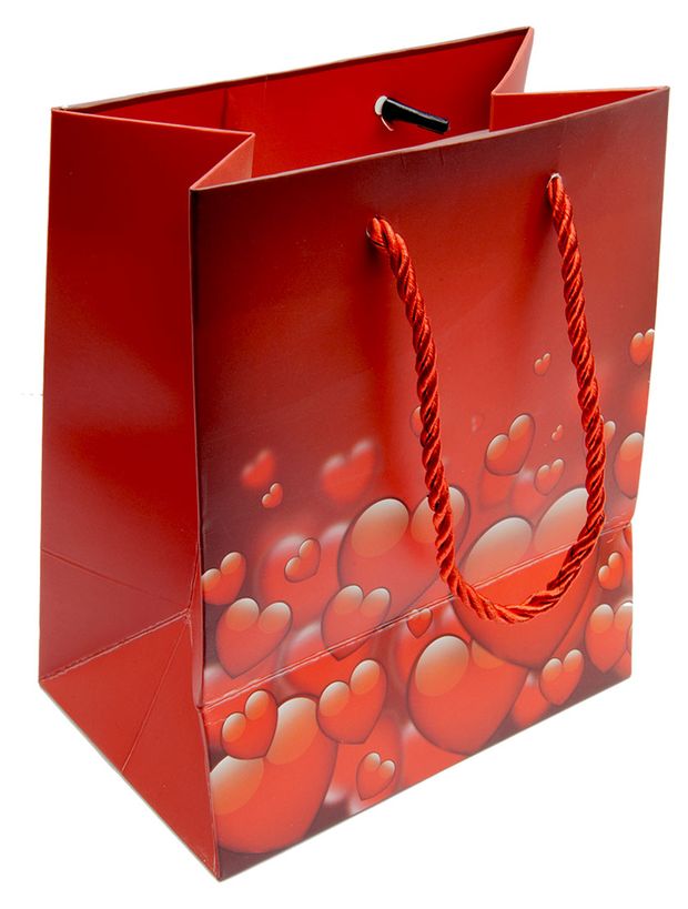 Пакет подарочный ArteNuevo, 26х32х10 см