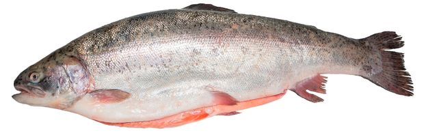 Форель Радужная охлажденная потрошеная с головой, ~ 800 г