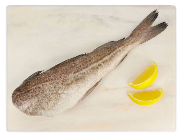 Навага охлажденная потрошеная без головы, вес