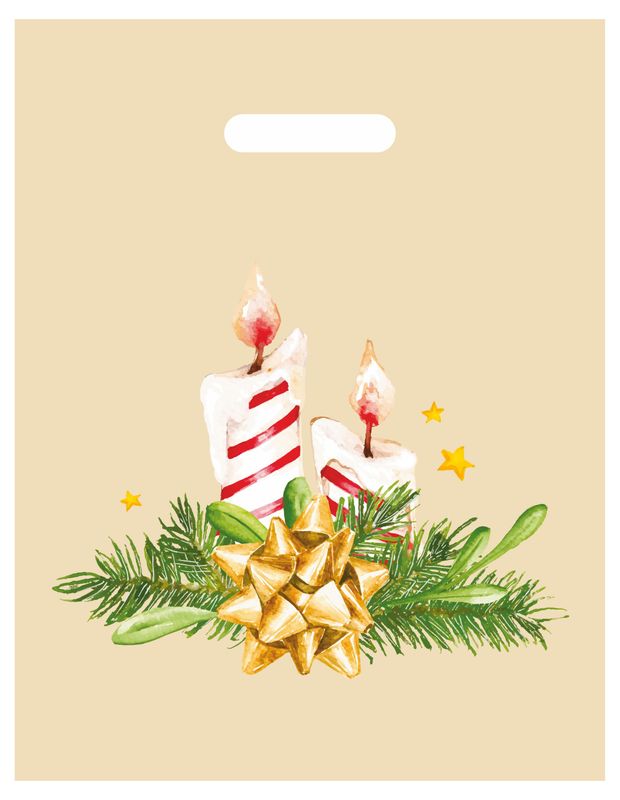 Пакет подарочный АШАН Красная птица 31х40 см 1 шт в ассортименте 13₽