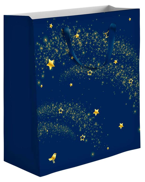 Пакет подарочный АШАН Красная птица синий 20х24 см 77₽