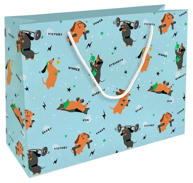 Пакет подарочный Be Smart 36х26 см 1 шт в ассортименте 200₽