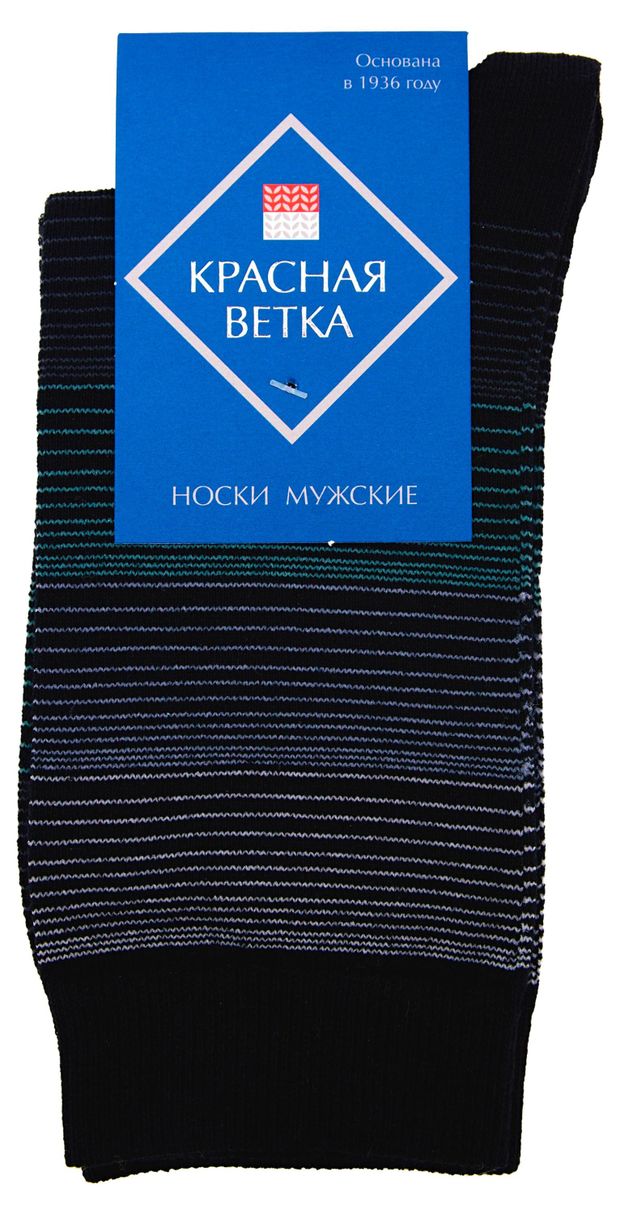 Носки мужские Красная Ветка черные, р. 29