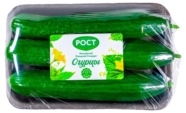 Огурцы среднеплодные гладкие 600 г 250₽