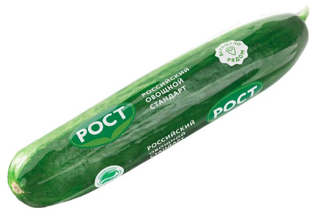 Огурец среднеплодный 1 шт 120₽
