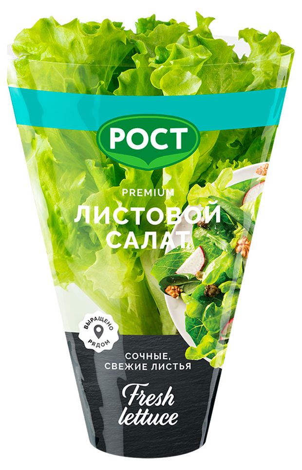 Салат Листовой в горшочке 1 штука 70₽