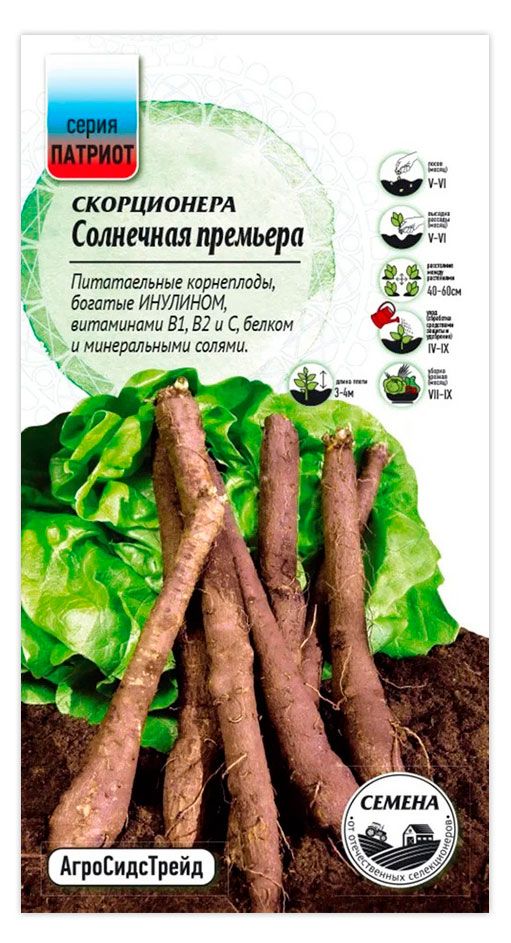 Семена АгроСидсТрейд Скорцонера Солнечная премьера 05 г 31₽