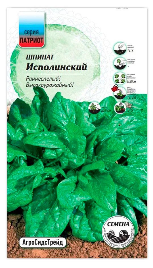 Семена АгроСидсТрейд Шпинат Исполинский, 1,5 г