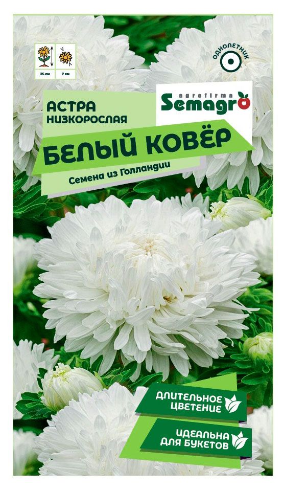 Семена СамАгро Астра низкорослая Белый ковер, 0,2 г