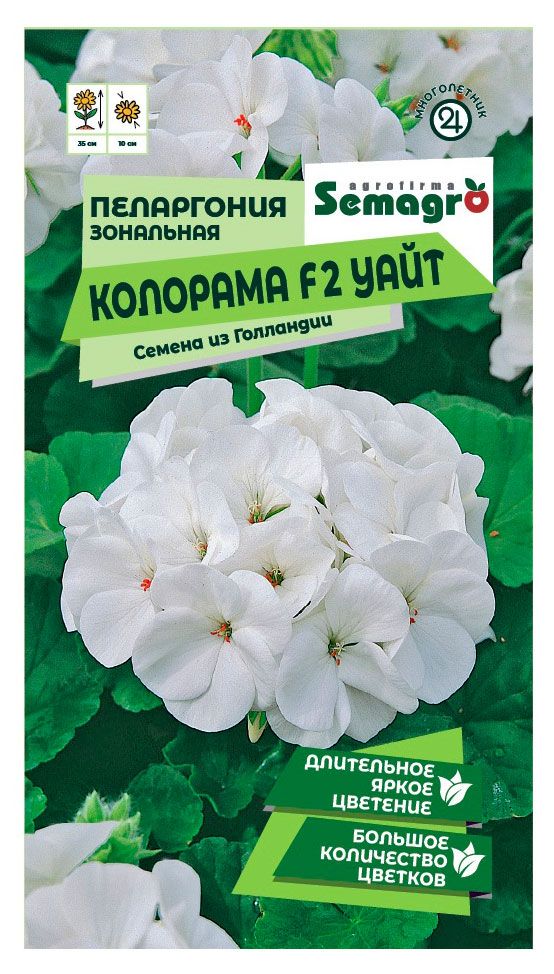 Семена СамАгро Пеларгония Зональная Колорама F2 белая, 0,2 г