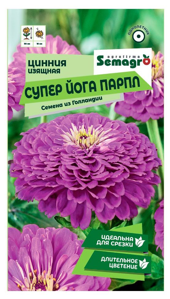 Семена СамАгро Цинния георгиноцветковая Супер Йога Парпл, 0,2 г