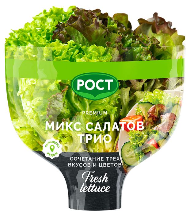 Салат Трио красно-зеленый листовой в горшочке 1 штука 170₽