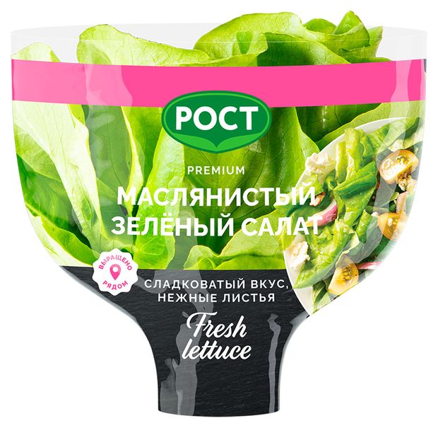 Салат маслянистый зеленый в горшочке 1 шт 190₽