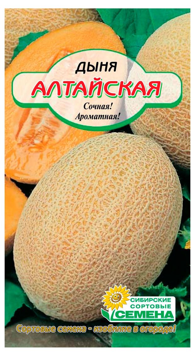 Семена Сибирские сортовые семена Дыня Алтайская, 10 шт
