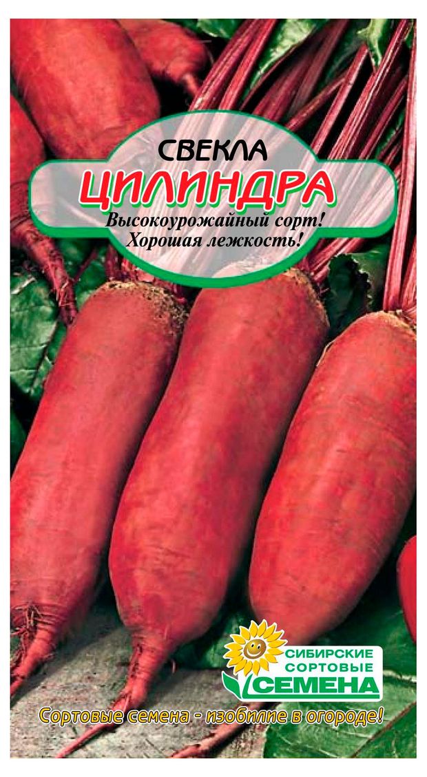 Семена Сибирские сортовые семена Свекла Цилиндрика, 2 г