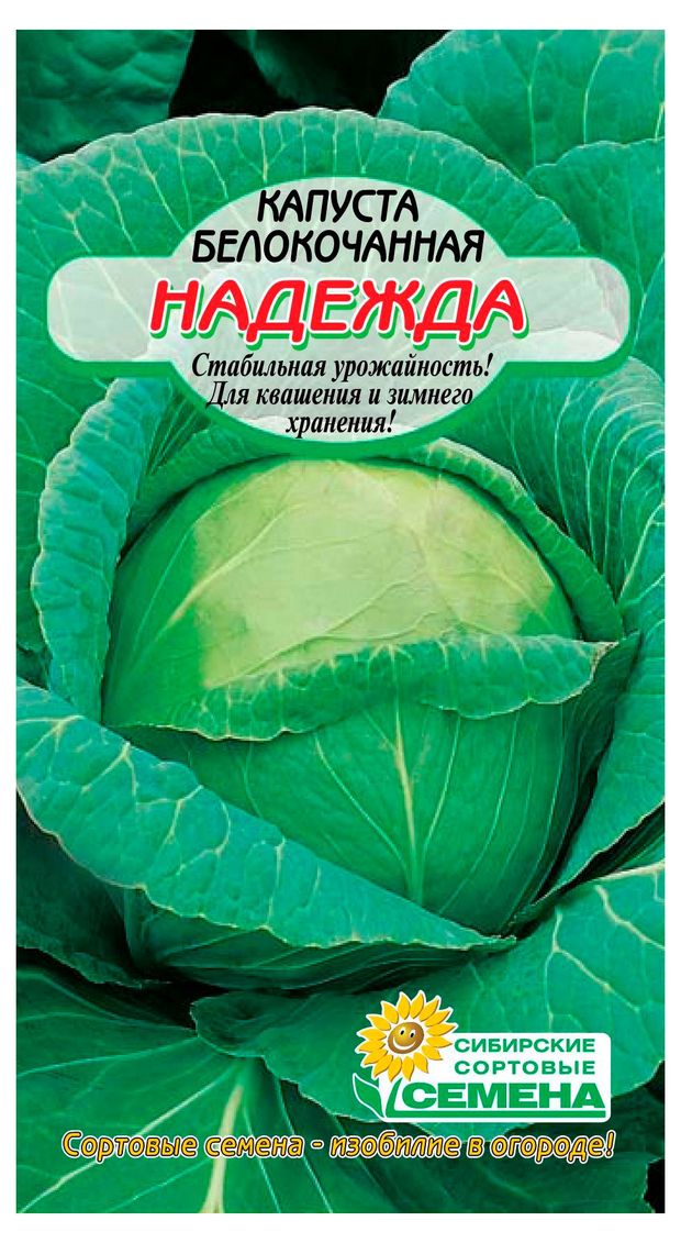 Семена Сибирские сортовые семена Капуста белокачанная Надежда, 0,5 г
