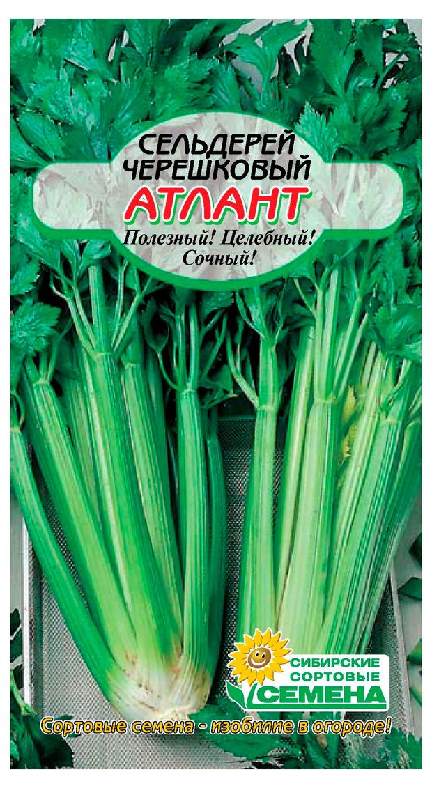 Семена Сибирские сортовые семена Сельдерей черешковый Атлант, 0,5 г