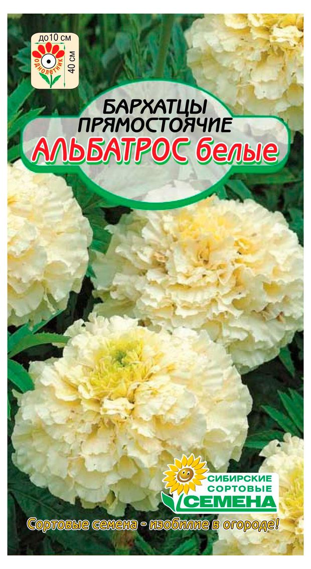 Семена Сибирские сортовые семена Бархатцы белые Альбатрос 005 г 35₽