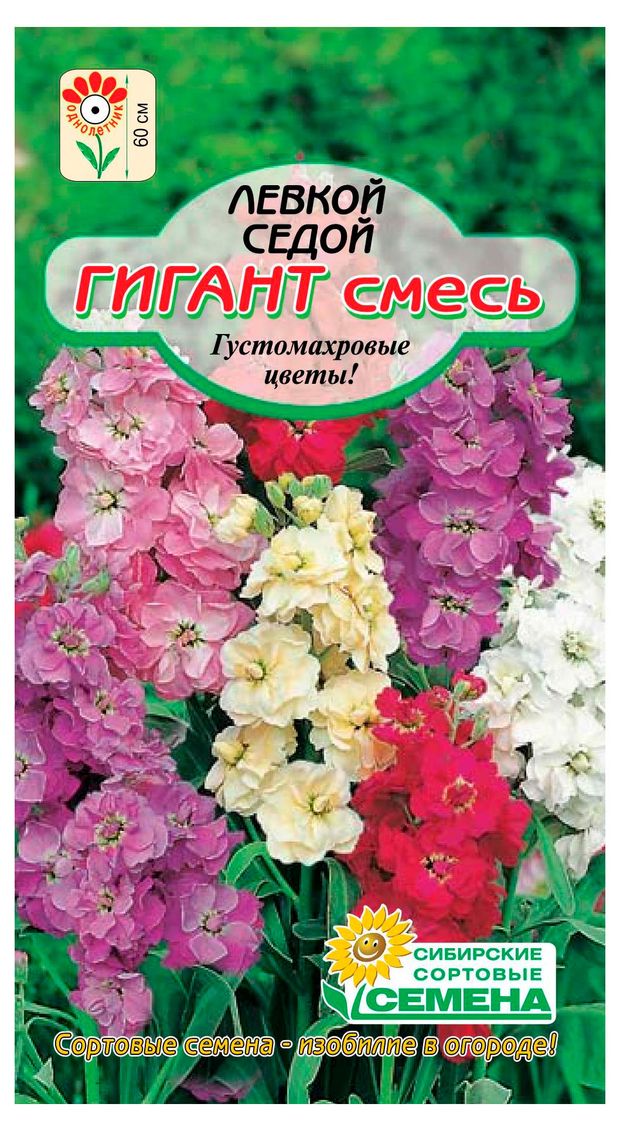 Семена Сибирские сортовые семена Левкой седой Гигант смесь, 0,1 г