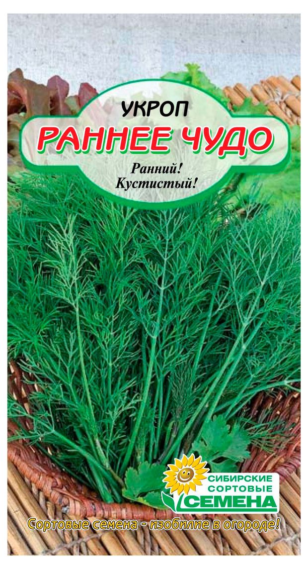 Семена Сибирские сортовые семена Укроп Раннее чудо, 2 г