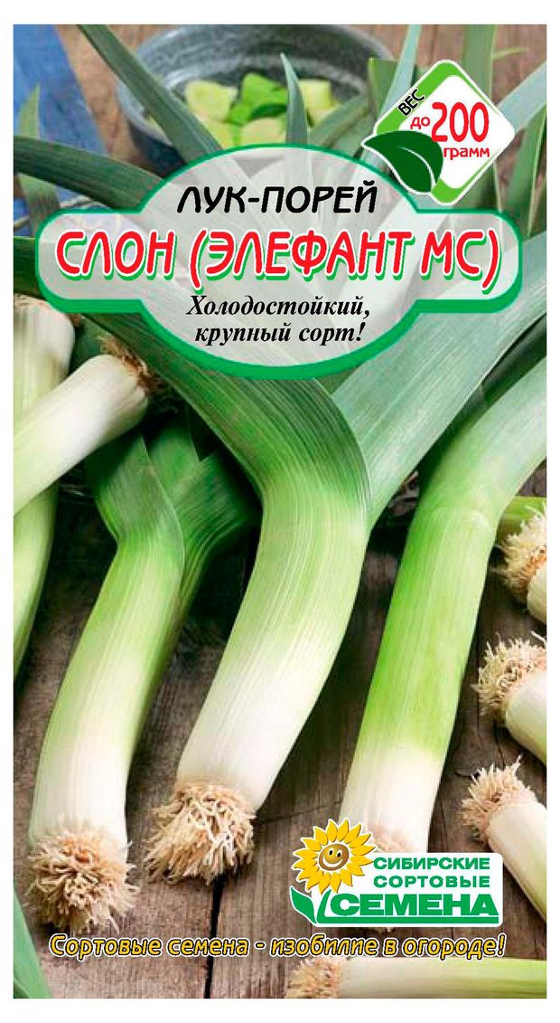 Семена Сибирские сортовые семена Лук-порей Слон Элефант МС 05 г 27₽