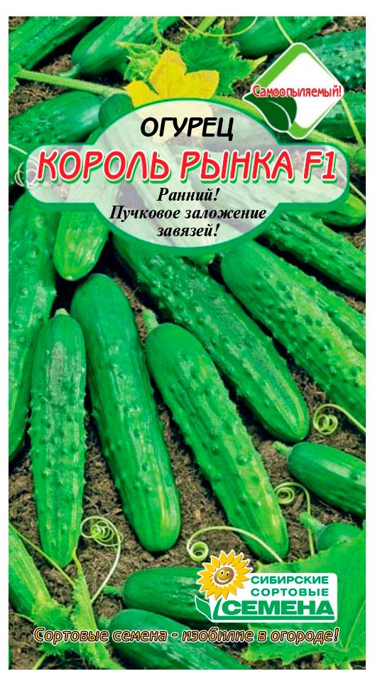 Семена Сибирские сортовые семена Огурец Король рынка F1 10 шт 48₽