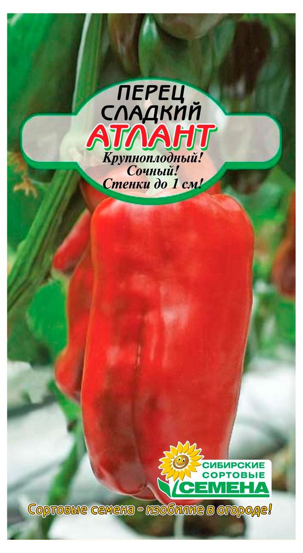 Семена Сибирские сортовые семена Перец сладкий Атлант 20 шт 23₽
