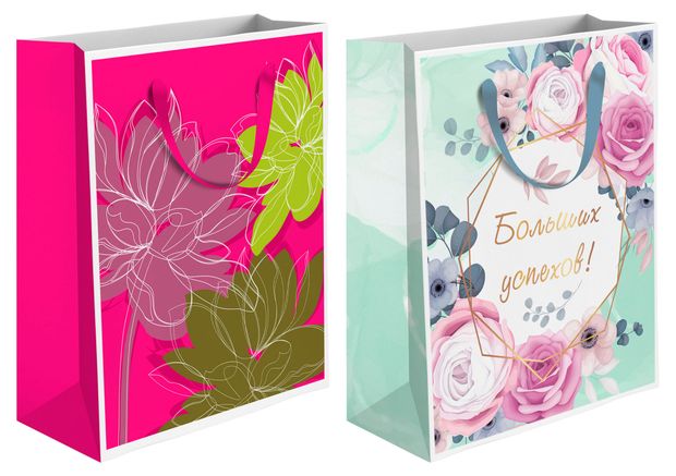 Пакет подарочный Шарм 20х24 см, 1 шт в ассортименте